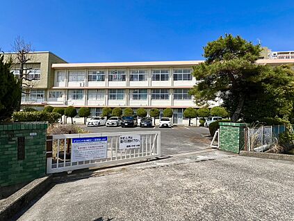 佐賀市立鍋島小学校 1173m