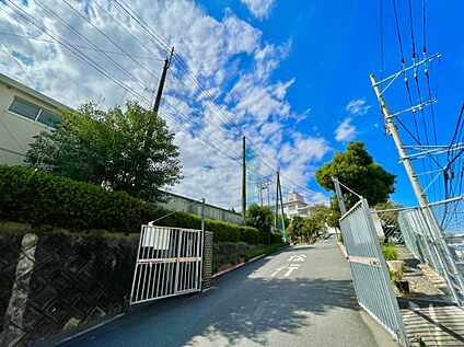 福岡市立花畑中学校 1900m