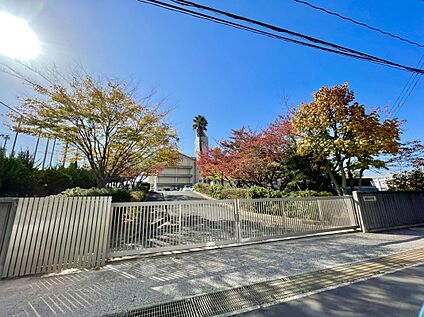 福岡市立野間中学 校  1939m