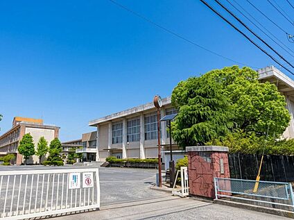 佐賀市立鍋島中学校 2550m