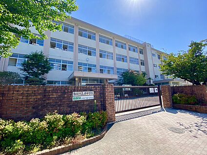 福岡市立原中学校 800m