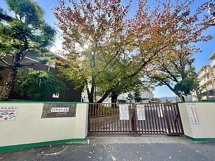 福岡市立弥永小学校 859ｍ