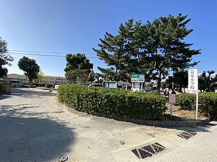 久留米市立荒木小学校 620ｍ