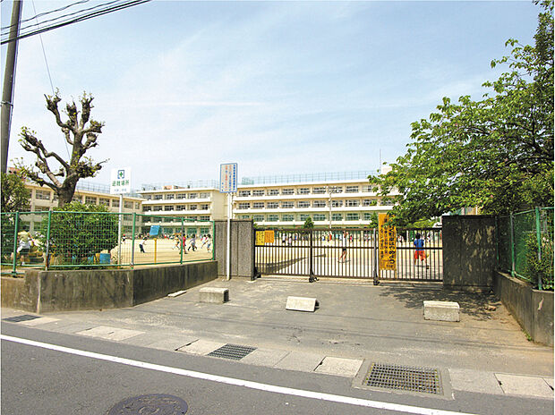 市川市立大野小学校（約1m）