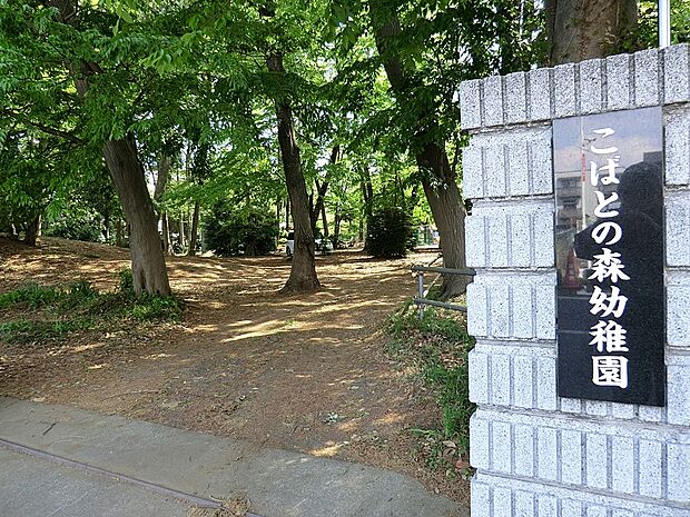 こばとの森幼稚園（約900m）