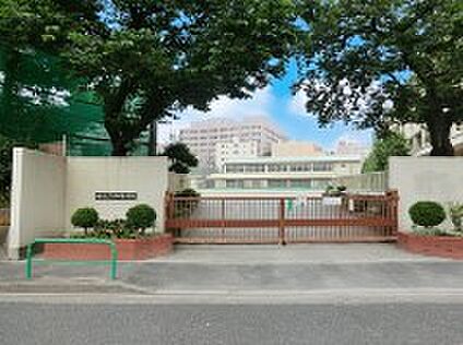 練馬区立石神井東中学校 750m