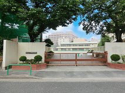 練馬区立石神井東中学校(約750m)