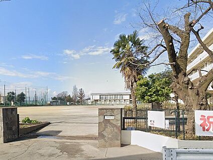 所沢市立南陵中学校 560m(7分)