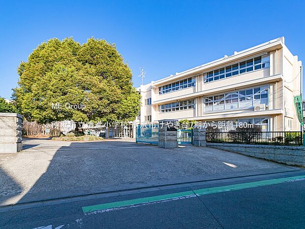所沢市立清進小学校(約180m・徒歩3分)