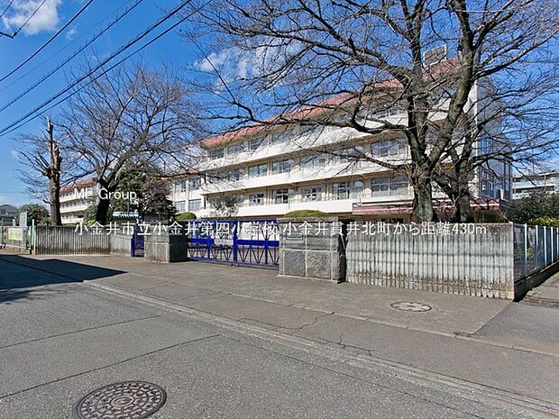 小金井市立小金井第四小学校(約430m・徒歩6分)