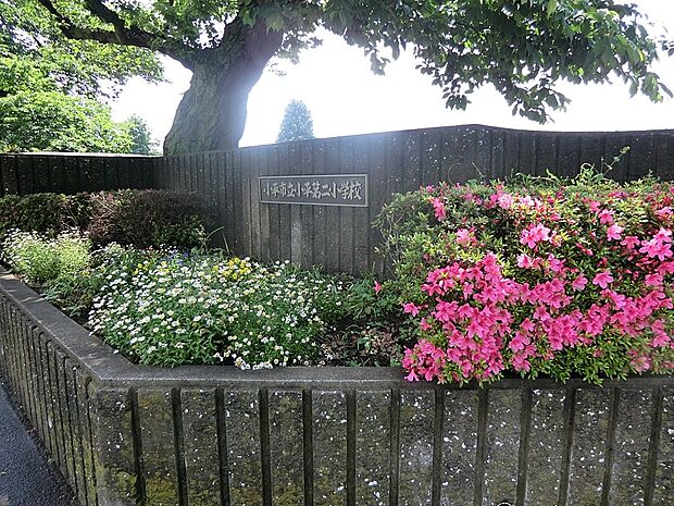 小平市立小平第二小学校（約25m）