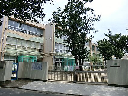 練馬区立橋戸小学校 500m