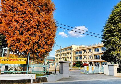 所沢市立西富小学校 540m