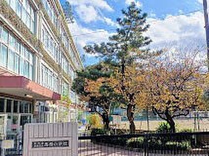 杉並区立馬橋小学校 220m