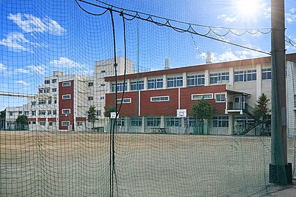 小金井市立緑中学校 500m(7分)