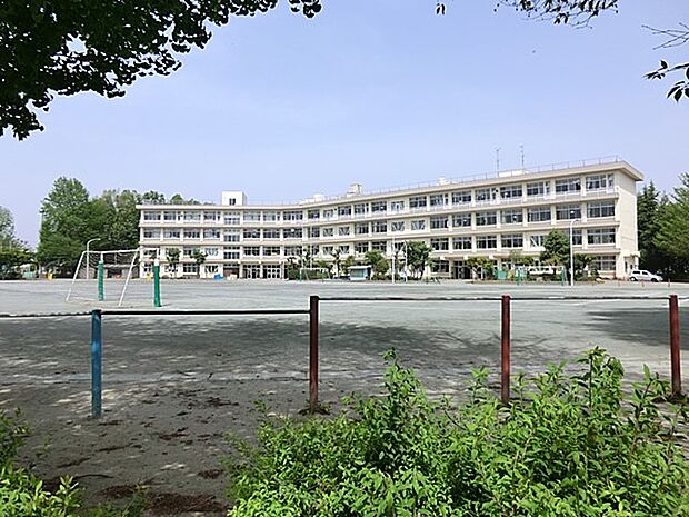 所沢市立若狭小学校(約800m・徒歩10分)