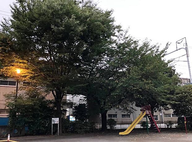 木月諏訪公園(約33m)