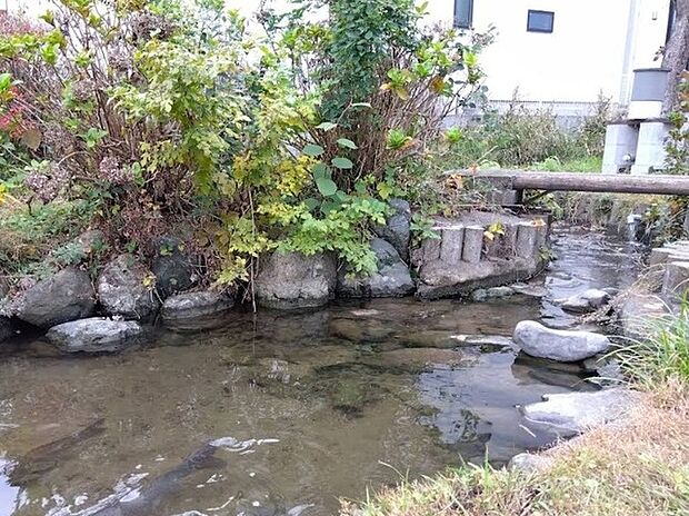 押立堀公園（約150m）