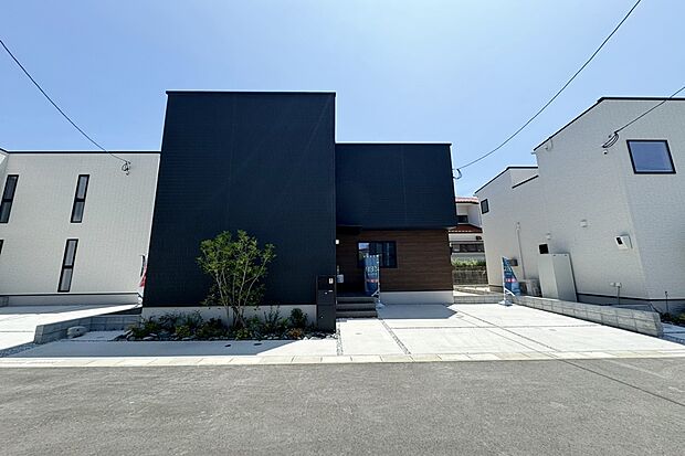 2号地現地写真(6月撮影)