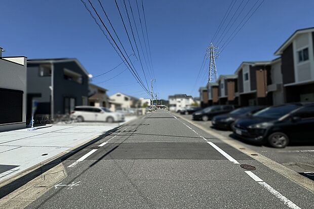 現地写真（6月撮影）