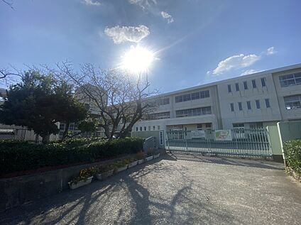福津市立神興東小学校 800ｍ(徒歩10分)