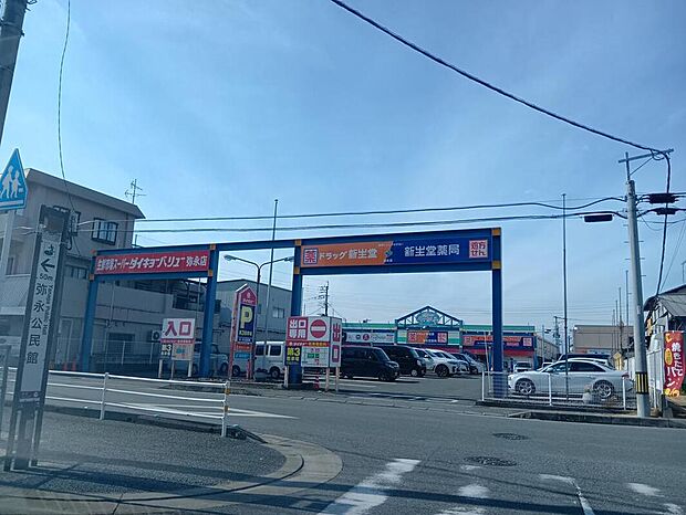 ドラッグ新生堂弥永店