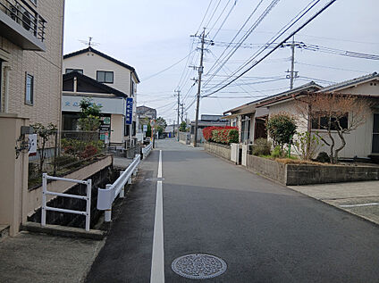 【前面道路を含む現地写真(南西側)】