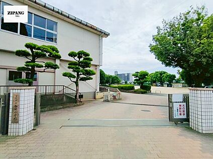 熊本市立白坪小学校 徒歩695m