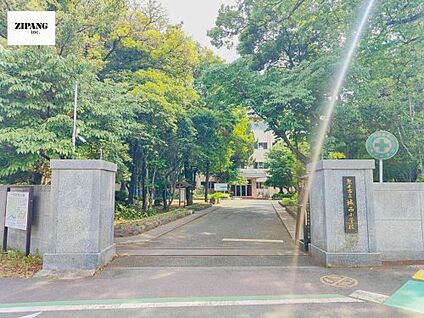 熊本市立城西小学校 徒歩525m