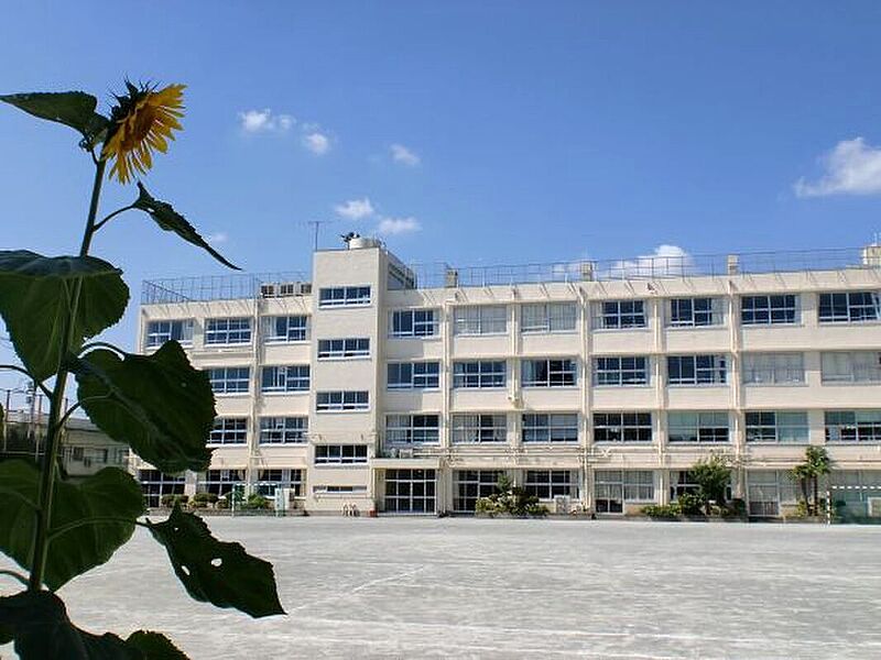 【学校】世田谷区立太子堂中学校