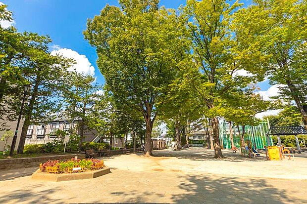 杉並区立大宮前公園
