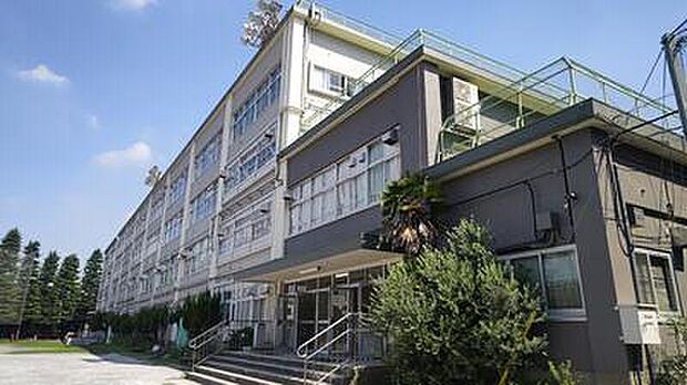 杉並区立向陽中学校