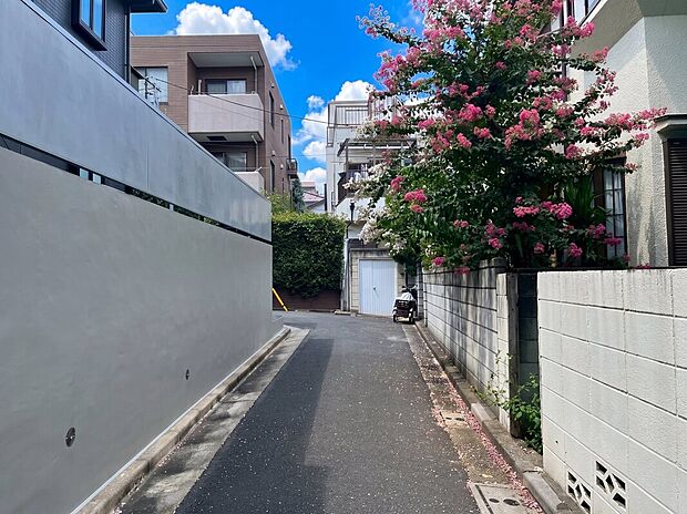 ■南西側 前面道路■
(※2025年8月撮影)