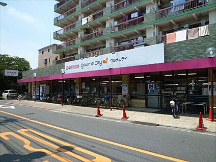 グルメシティ武蔵境店 約837ｍ