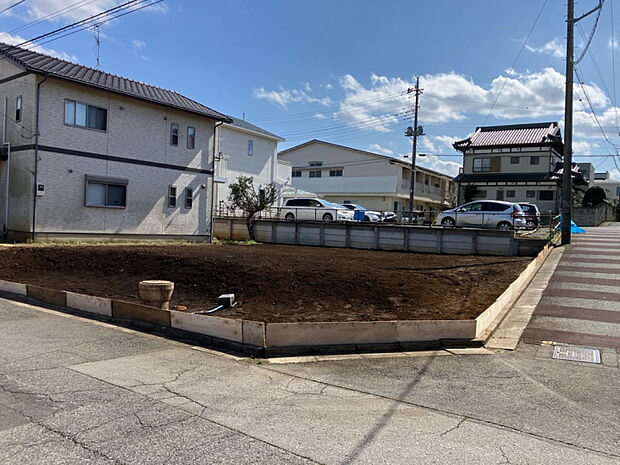 3月上旬撮影　