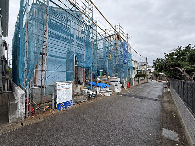 7月中旬撮影