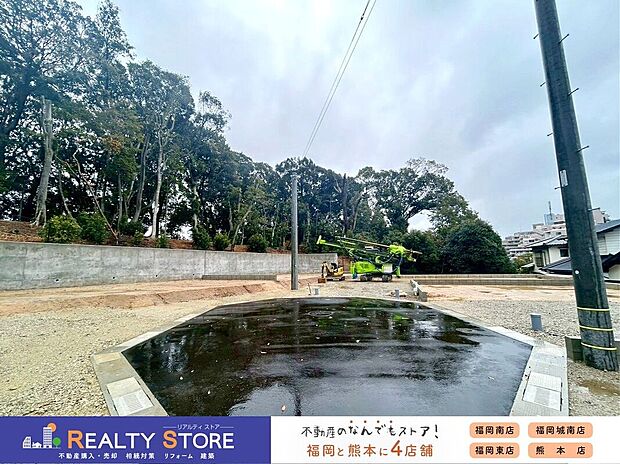 ☆現地【2026年3月】撮影☆