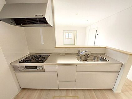 同仕様画像 (キッチン)