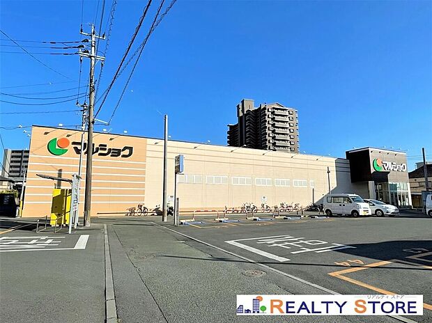 マルショク子飼店(約500m)