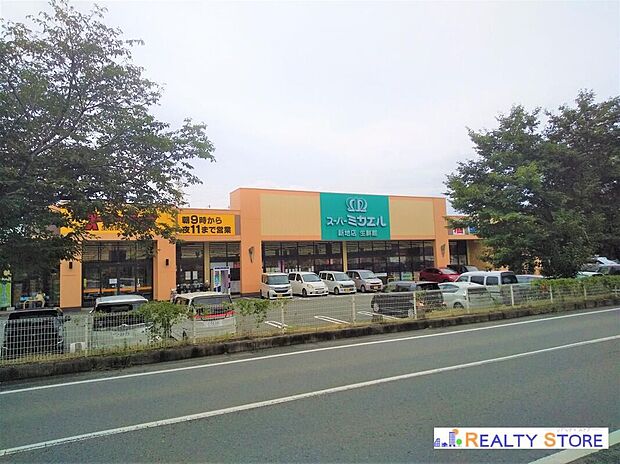 スーパーミカエル新地店(約880m)