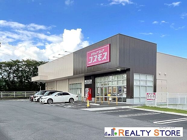 ドラッグストアコスモス龍田弓削店(約540m)