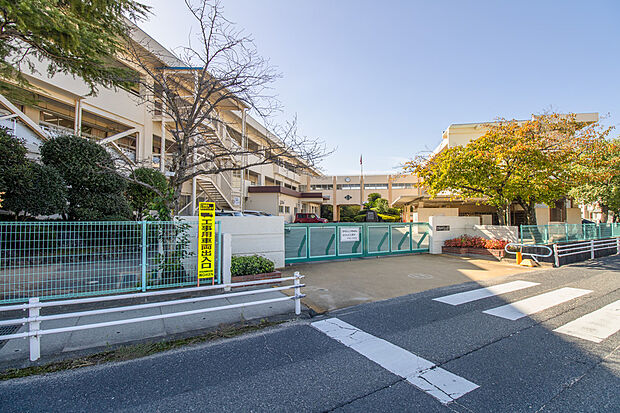 中島小学校(約1m)