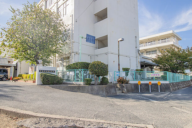 倉敷市立南中学校(約800m)