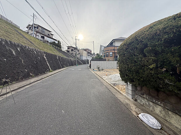 2026年4月撮影　