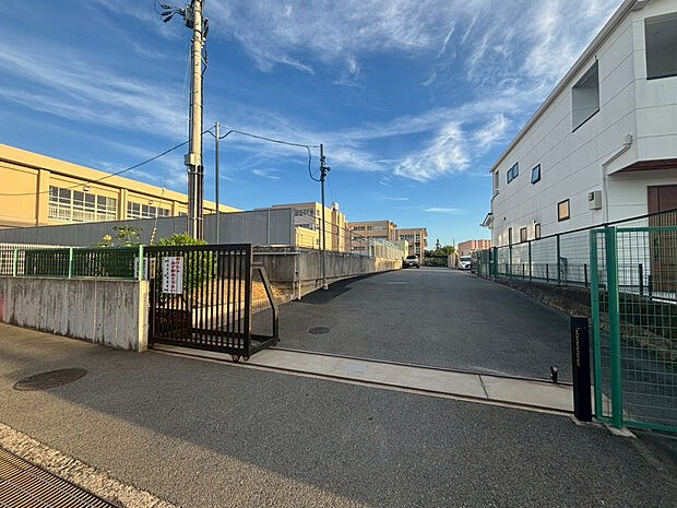 大開小学校（約500m）