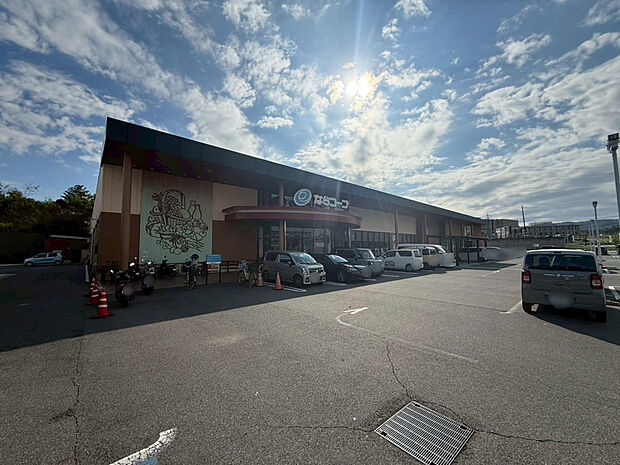 ならコープ　コープ七条（約700m）