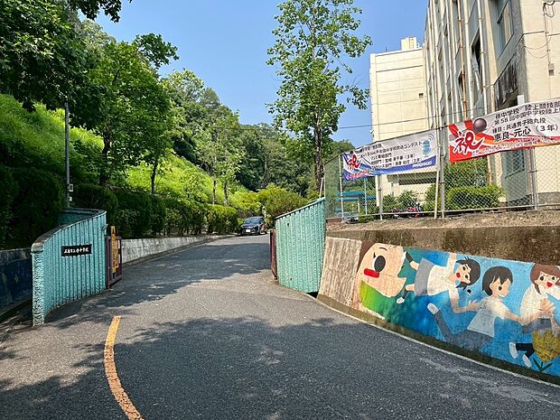 伴中学校（約2m）