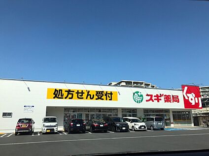 スギ薬局東生駒店 1100m(14分)