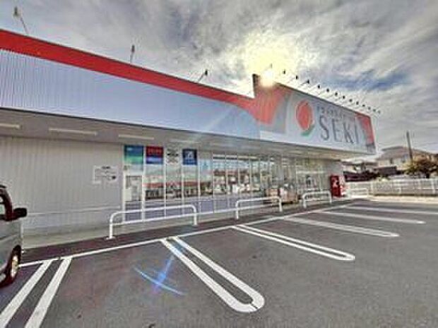 ドラッグストアセキ下安松店(約800m)