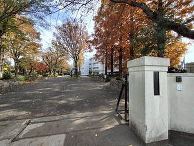 東久留米市立西中学校(約240m)